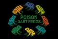 Poison Dart Frogs Poison Dart Frogs