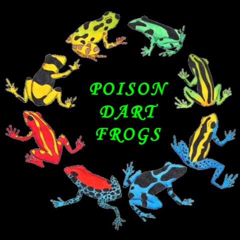 Mannschaft: Poison Dart Frogs