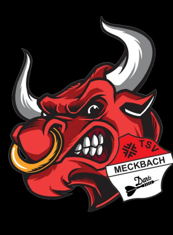 Mannschaft: TSV Meckbach Darts
